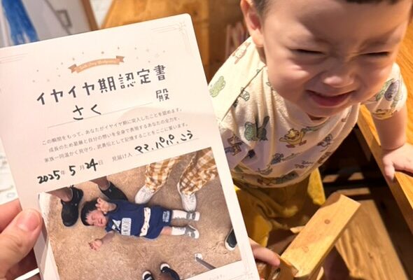 イヤイヤ期　認定書　証明書　イヤイヤ期届　無料　テンプレート　ダウンロード　デザイン